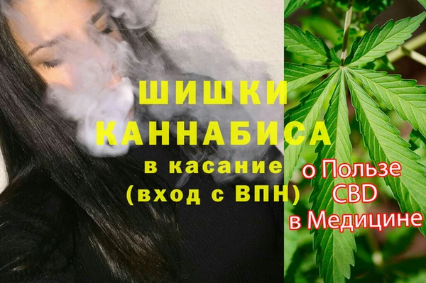 спиды Богородск
