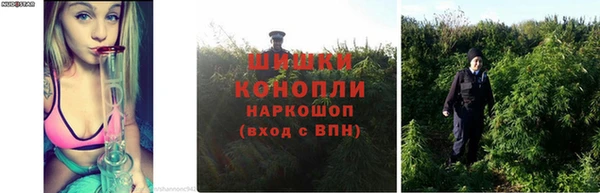 COCAINE Богородицк