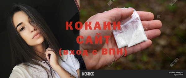 ГАЛЛЮЦИНОГЕННЫЕ ГРИБЫ Беломорск