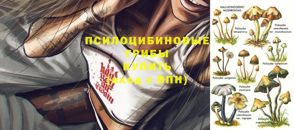 спиды Богородск