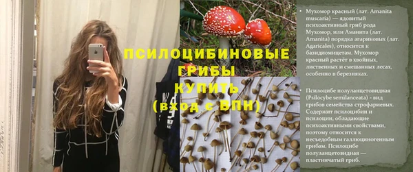 ПСИЛОЦИБИНОВЫЕ ГРИБЫ Белоозёрский