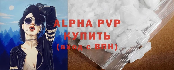 спиды Богородск