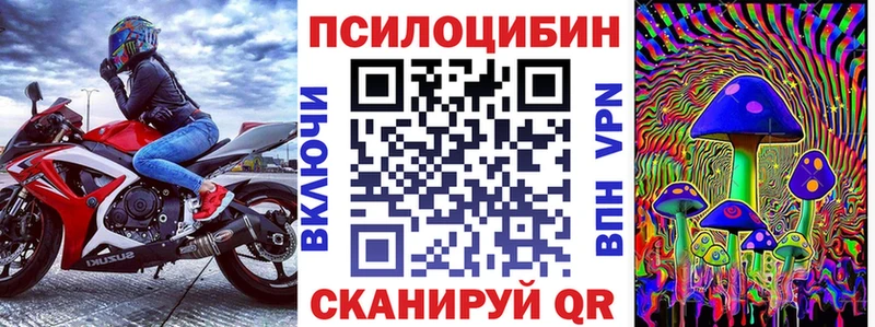 Псилоцибиновые грибы Psilocybine cubensis  Баксан 
